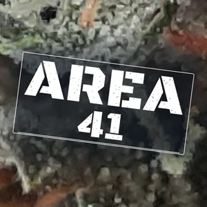 Area 41 Cannabis Strain
