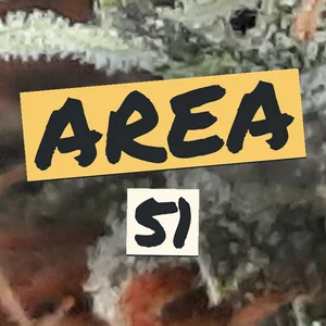 Area 51 Cannabis Strain