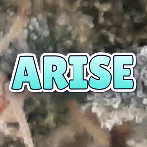 Arise Cannabis Strain