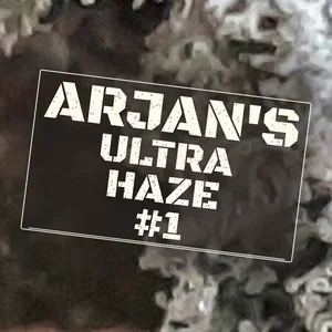 Arjan's Ultra Haze #1 Cannabis Strain