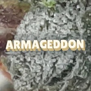 Armageddon Cannabis Strain