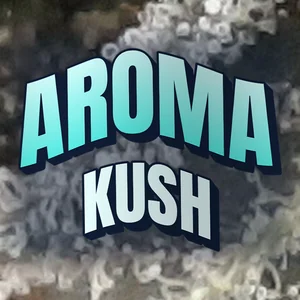 Aroma Kush Cannabis Strain