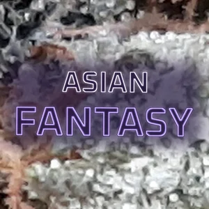 Asian Fantasy Cannabis Strain