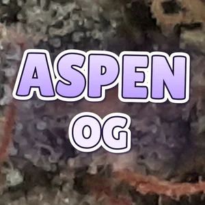 Aspen OG Cannabis Strain