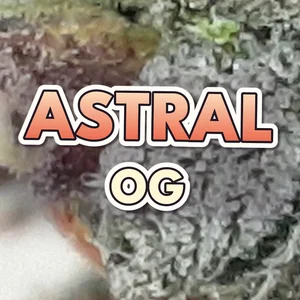 Astral OG Cannabis Strain