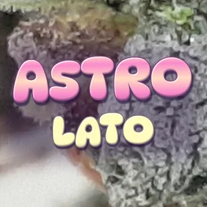 Astro Lato Cannabis Strain