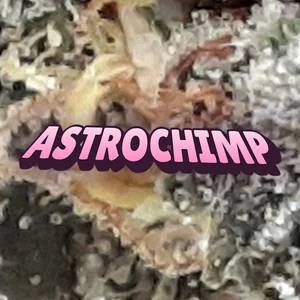 AstroChimp Cannabis Strain