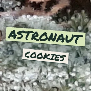 Astronaut Cookies Cannabis Strain