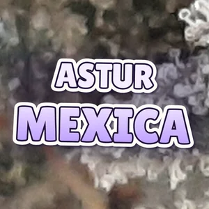 Astur Mexica Cannabis Strain