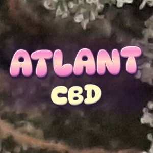 Atlant CBD Cannabis Strain