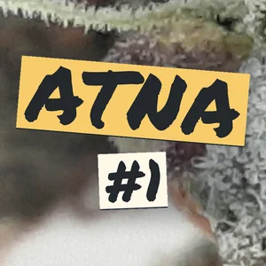 ATNA #1 Cannabis Strain