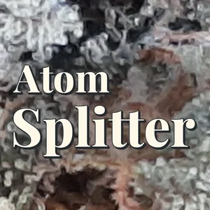 Atom Splitter Cannabis Strain