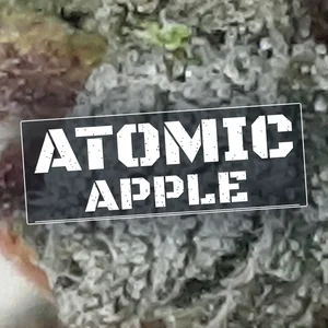 Atomic Apple Cannabis Strain