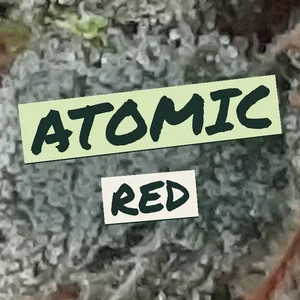 Atomic Red Cannabis Strain