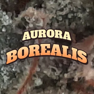 Aurora Borealis Cannabis Strain
