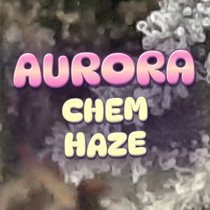 Aurora Chem Haze Cannabis Strain