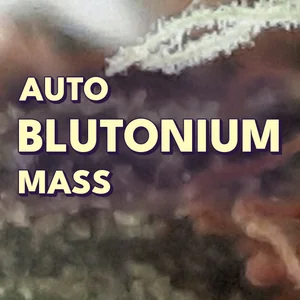 Auto Blutonium Mass Cannabis Strain