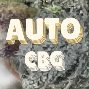 Auto CBG Cannabis Strain