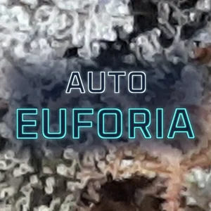 Auto Euforia Cannabis Strain