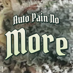 Auto Pain No More Cannabis Strain