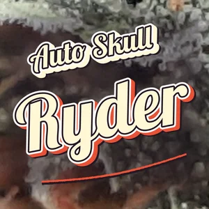 Auto Skull Ryder Cannabis Strain