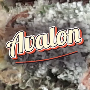 Avalon Cannabis Strain