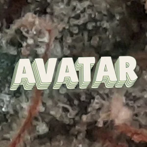 Avatar Cannabis Strain