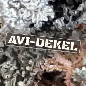 Avi-Dekel Cannabis Strain