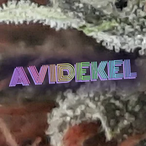 Avidekel Cannabis Strain