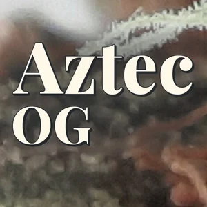 Aztec OG Cannabis Strain