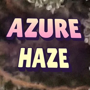 Azure Haze Cannabis Strain
