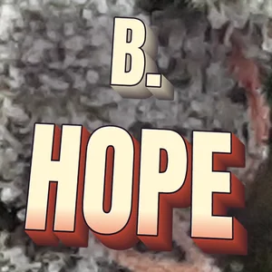 B. Hope Cannabis Strain