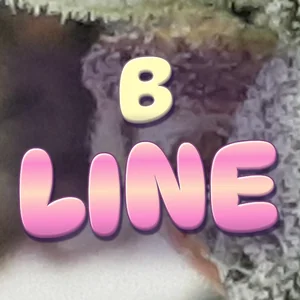B Line Cannabis Strain