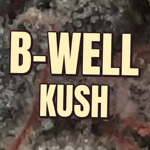 B-Well Kush Cannabis Strain