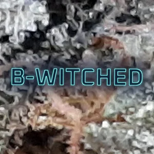 B-Witched Cannabis Strain