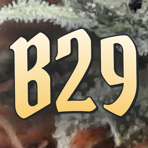 B29 Cannabis Strain
