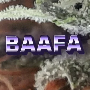 Baafa Cannabis Strain