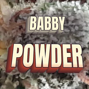 Babby Powder Cannabis Strain