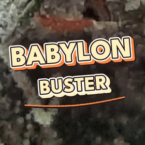 Babylon Buster Cannabis Strain