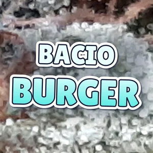 Bacio Burger Cannabis Strain