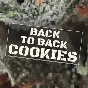 Back to Back Cookies Cannabis Strain