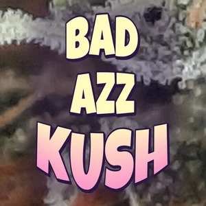 Bad Azz Kush Cannabis Strain