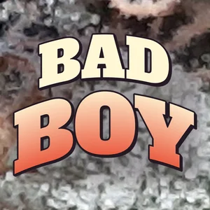 Bad Boy Cannabis Strain