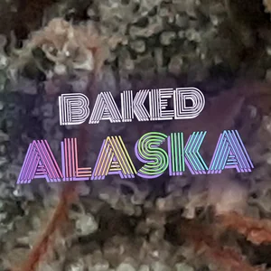 Baked Alaska Cannabis Strain