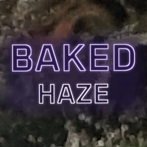 Baked Haze Cannabis Strain