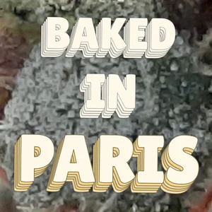 Baked in Paris Cannabis Strain