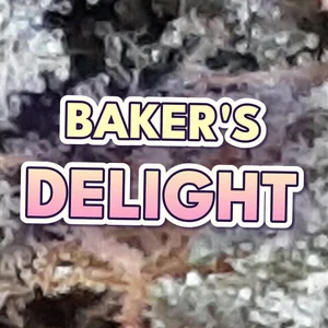 Baker's Delight Cannabis Strain