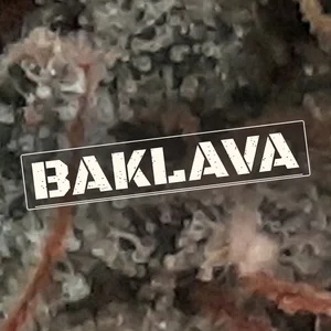 Baklava Cannabis Strain