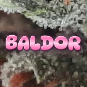 Baldor Cannabis Strain