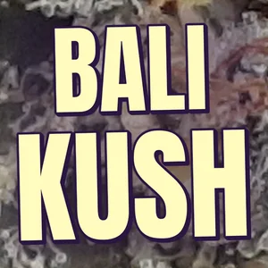 Bali Kush Cannabis Strain